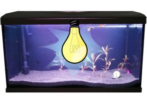 beleuchtung-aquarium
