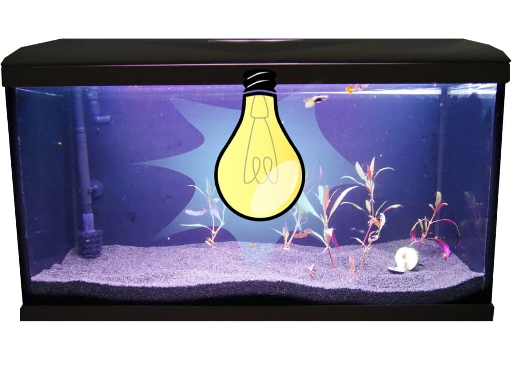 Aquarium Beleuchtung