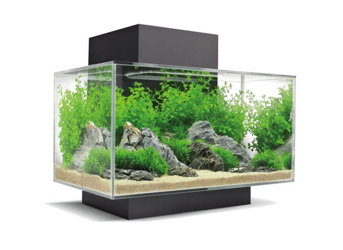 fluval_edge_namo_aquarium