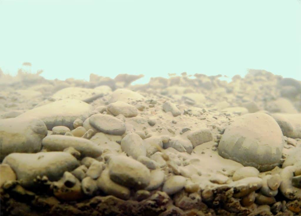 Aquarium Wasser trüb und milchig? ⇒ Gründe, Abhilfe und Profitipps