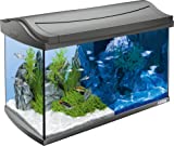 Tetra 60L Aquarium Komplett-Set
