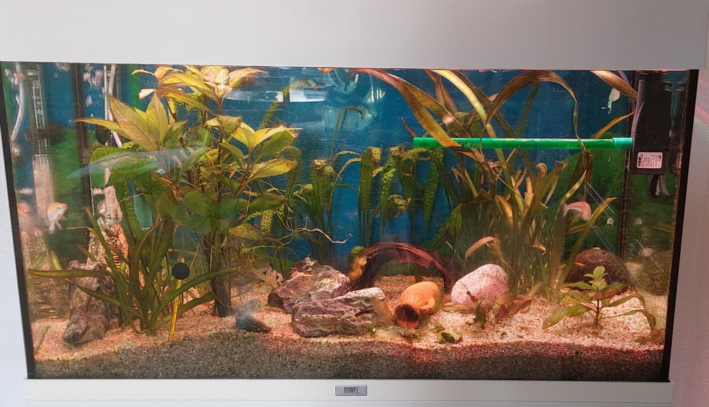 125-liter_aquarium_fuer_kinder